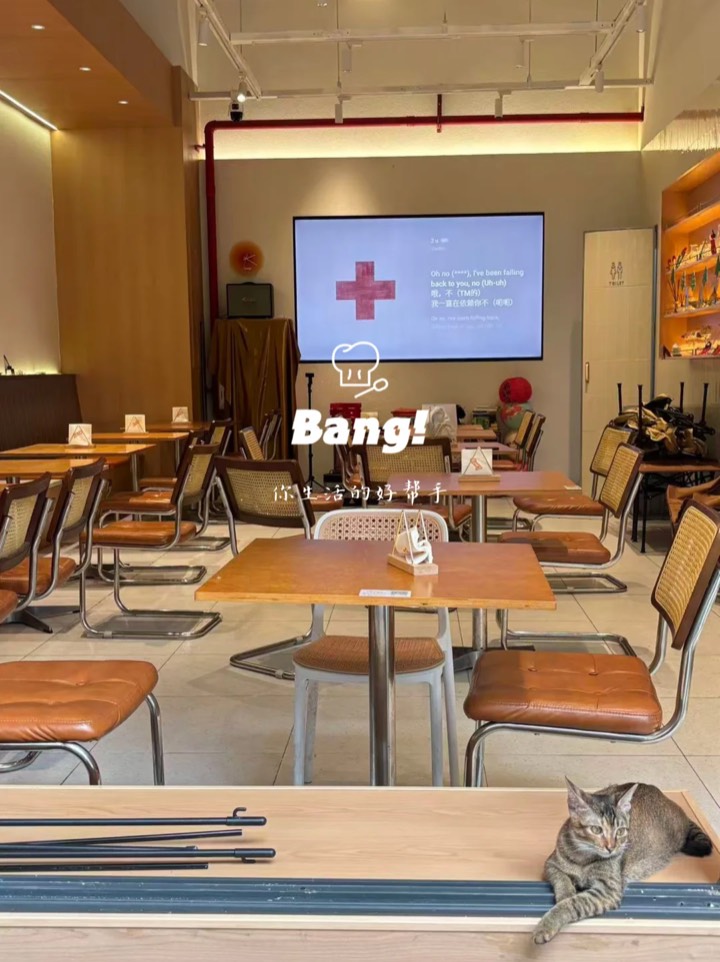 我们约了10+深圳上门代厨厨师,被喂的很饱 图11